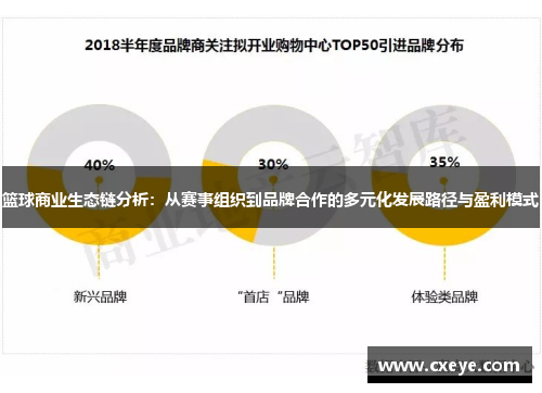 篮球商业生态链分析：从赛事组织到品牌合作的多元化发展路径与盈利模式