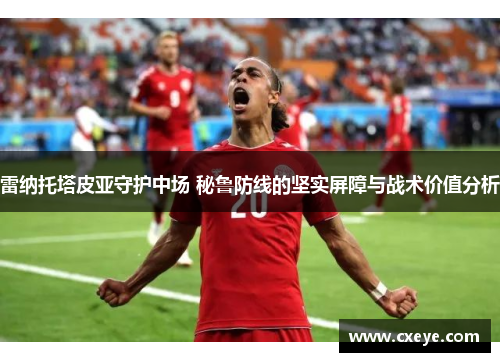 雷纳托塔皮亚守护中场 秘鲁防线的坚实屏障与战术价值分析