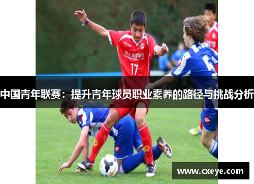 中国青年联赛：提升青年球员职业素养的路径与挑战分析