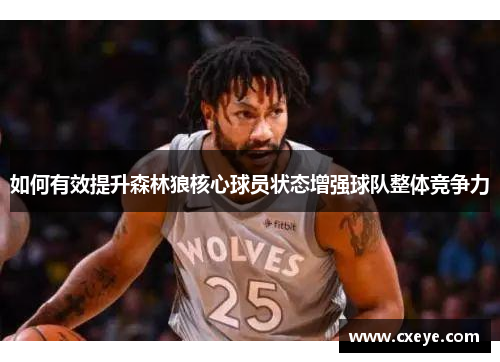 如何有效提升森林狼核心球员状态增强球队整体竞争力