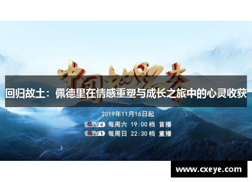回归故土：佩德里在情感重塑与成长之旅中的心灵收获