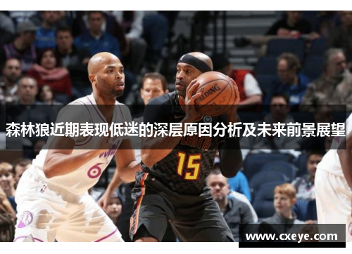 森林狼近期表现低迷的深层原因分析及未来前景展望