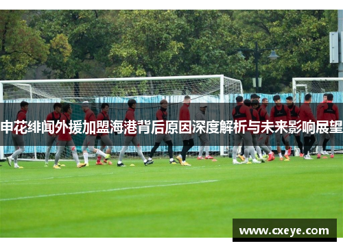 申花绯闻外援加盟海港背后原因深度解析与未来影响展望